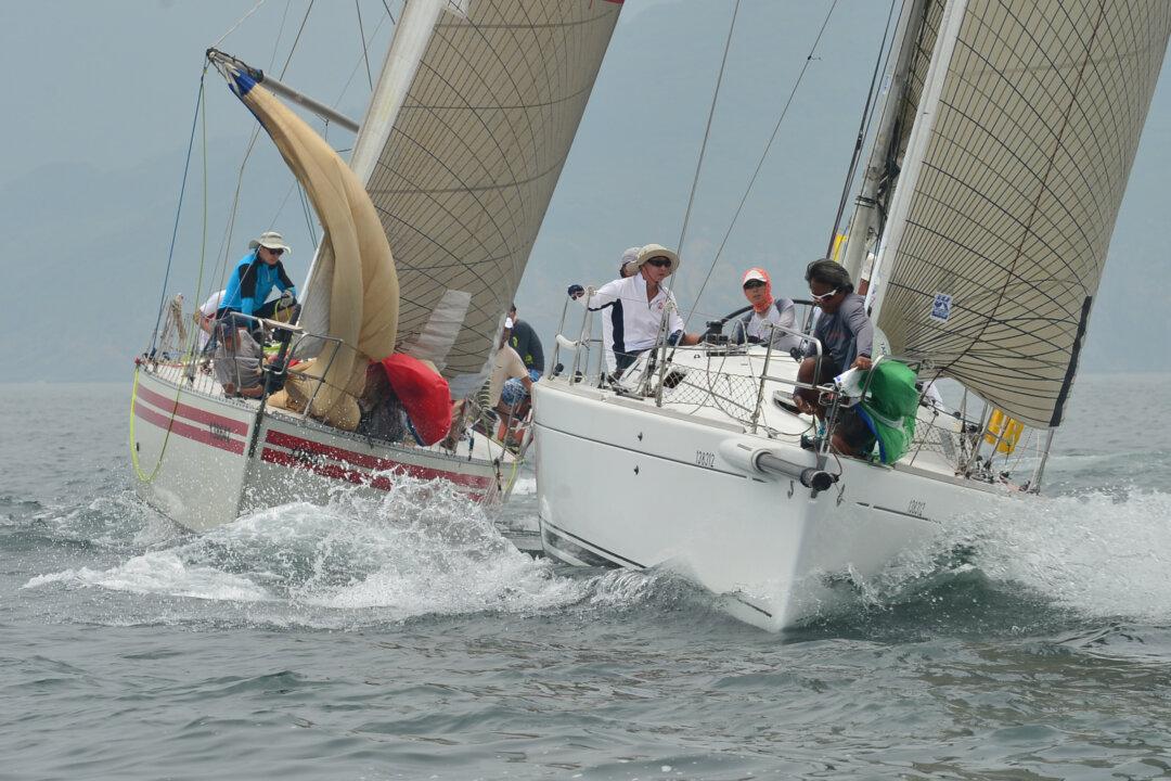 Good Support for Typhoon Series Yacht Races