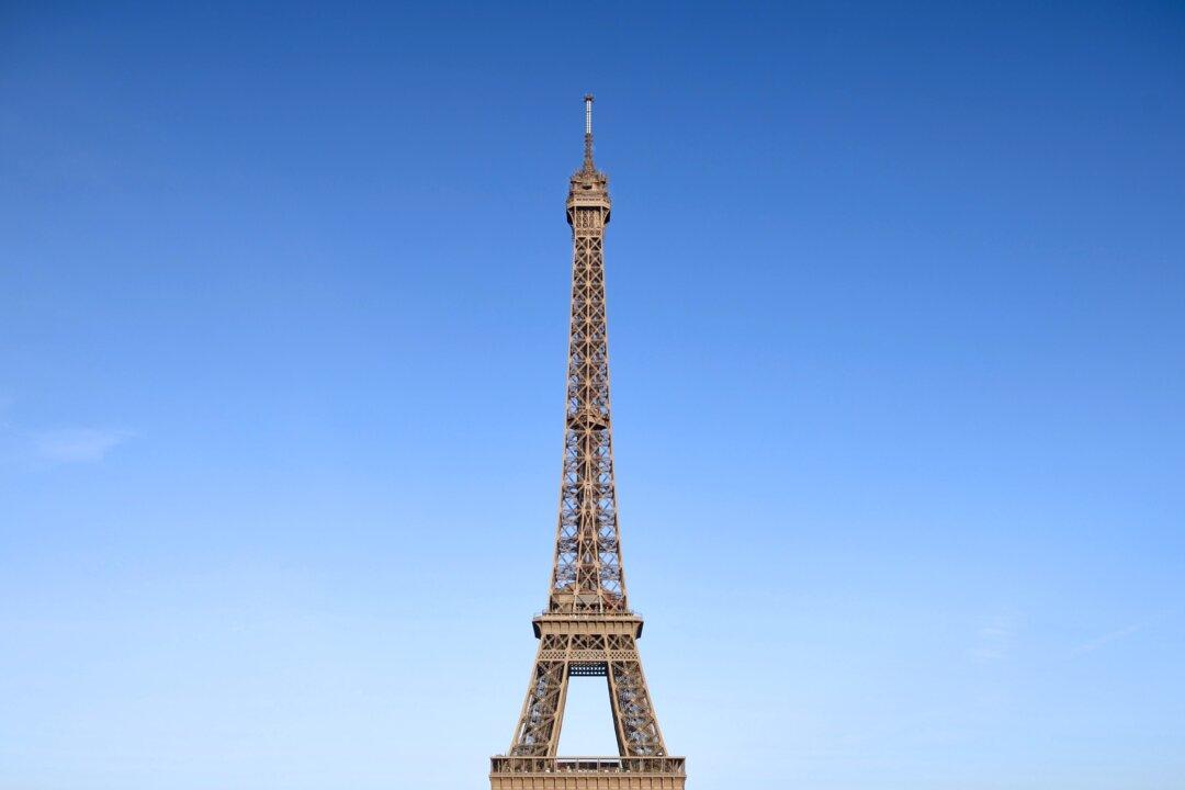 Free to Eat Whatever You Want