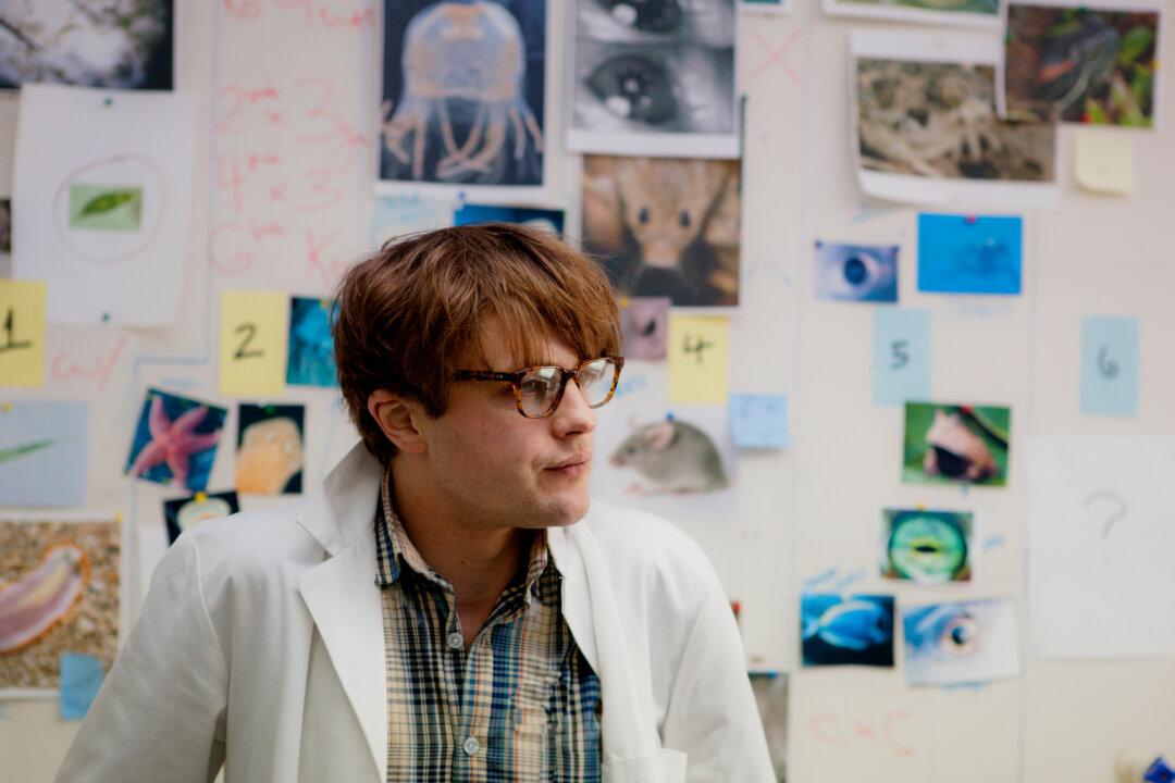 Movies Coming Out in July: What to Watch (+Trailers, Release Dates)