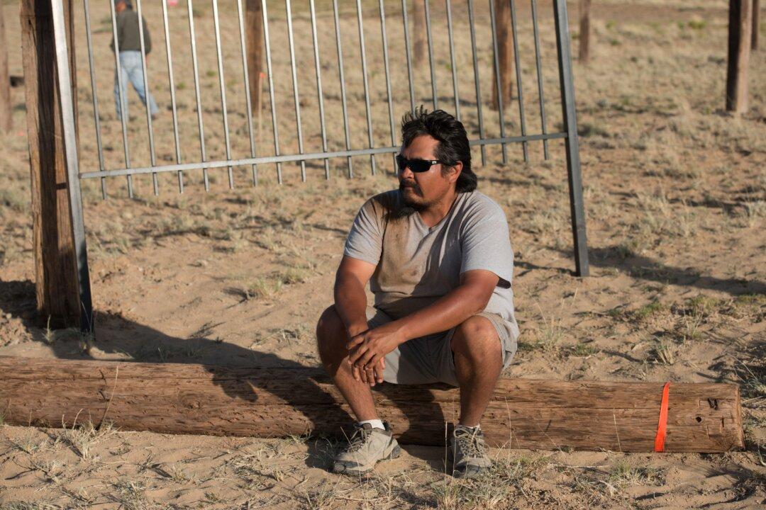 Navajo Veteran Wants to Heal Others With Wild Horses