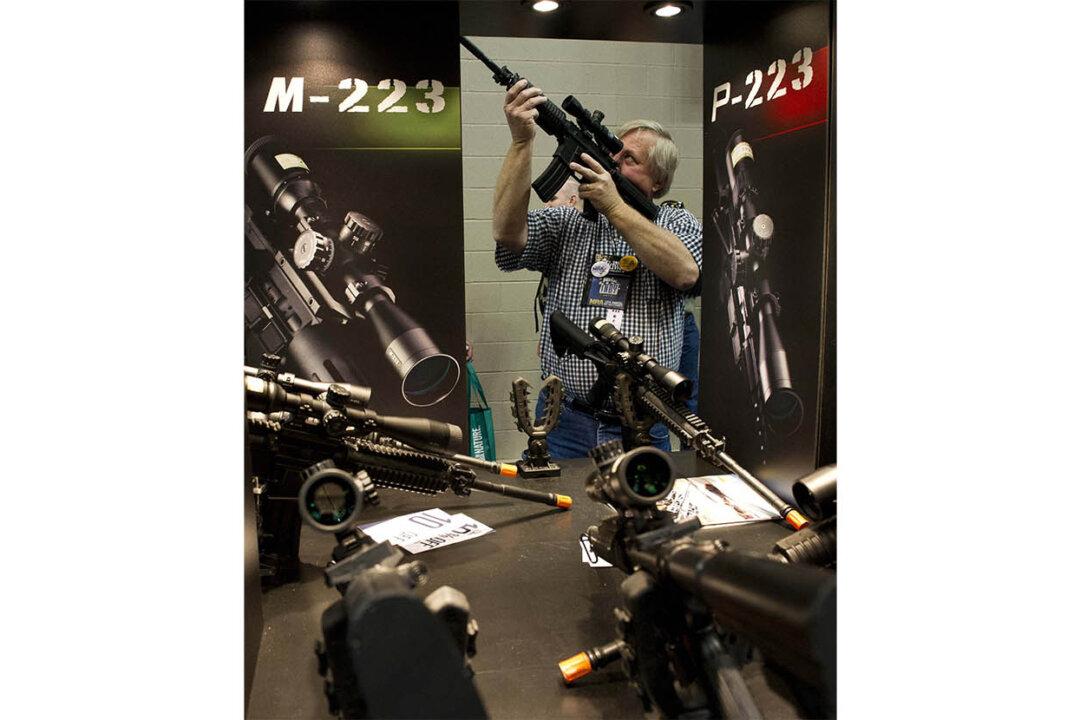 The NRA’s Accidental Brush With Sanity