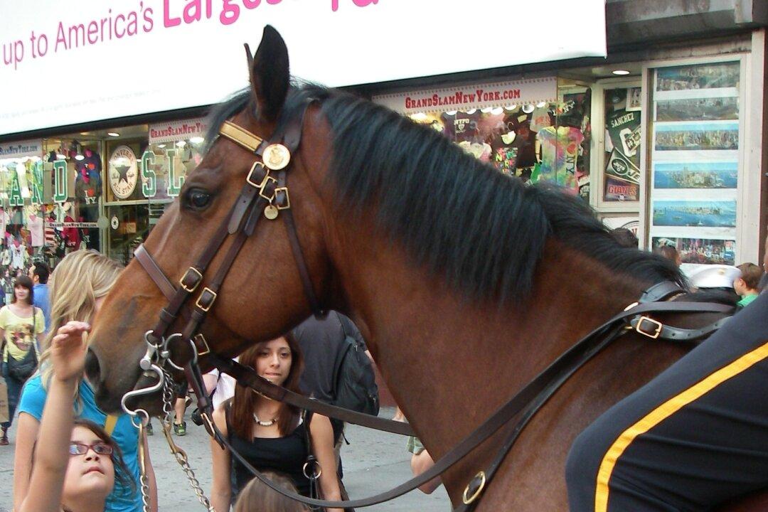 Collaborative Policing: Countering America’s Culture of Violence