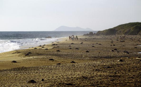 A Balanced Beach: Summer Returns to Cape Hatteras