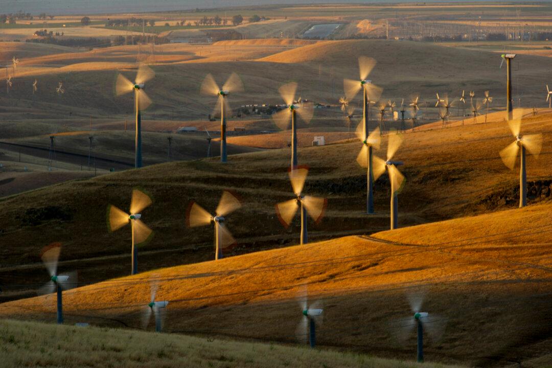 Wind Power to Create Ripple of Jobs Through 2050: Energy Report