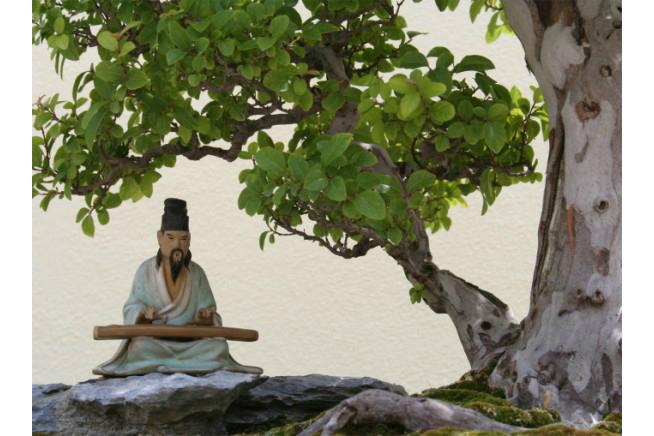 Chinese Idiom: Playing the Qin to a Cow