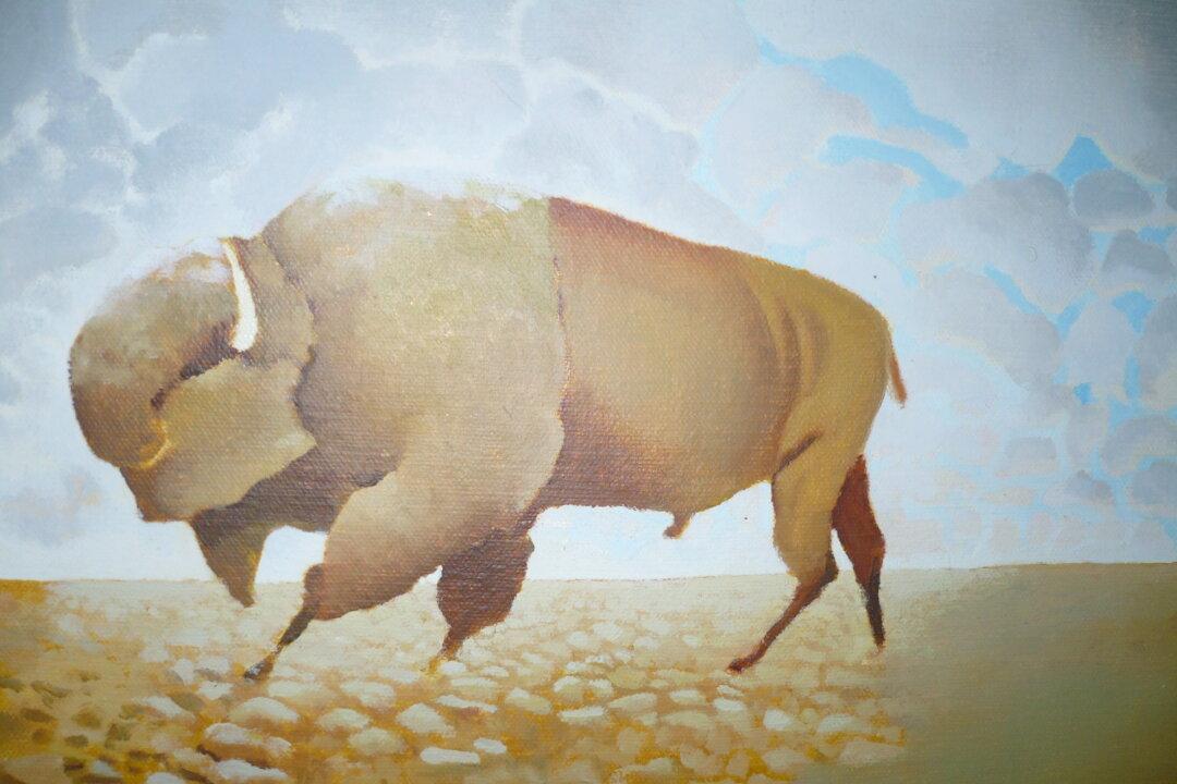 Diverse Artists Display Works at Famed Ottawa Hair Studio