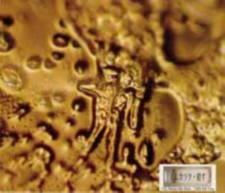 A note with the words 'You are really nauseating and disgusting. I'll kill you!' were put on the container of the water that formed this crystal. (Courtesy of Dr. Masuru Emoto)