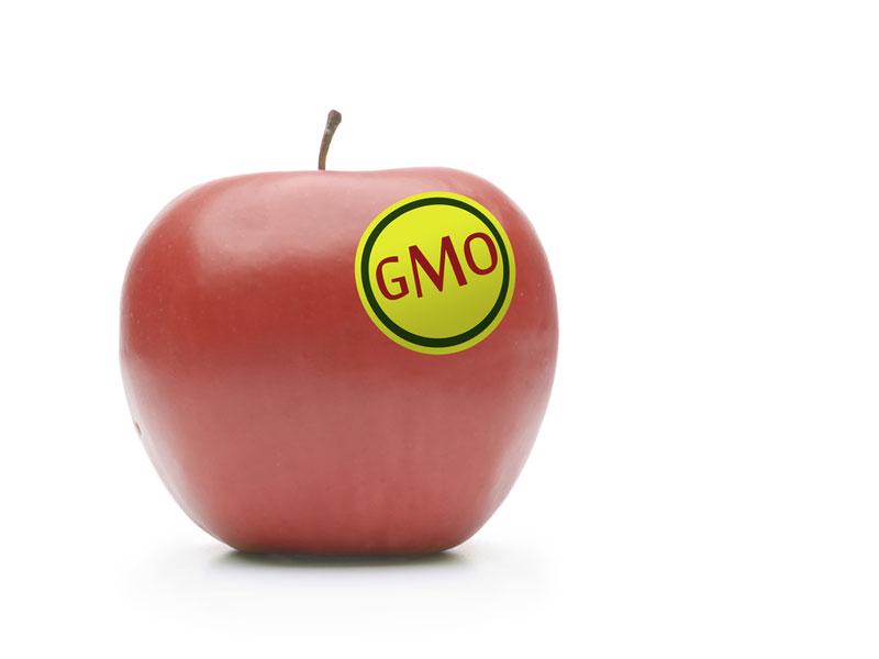 Readers Weigh In on GMO: ‘Eating Mad Scientist Projects,’ and the Right to Know