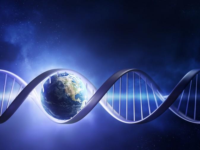 DNA From GMOs Can Pass Directly Into Humans