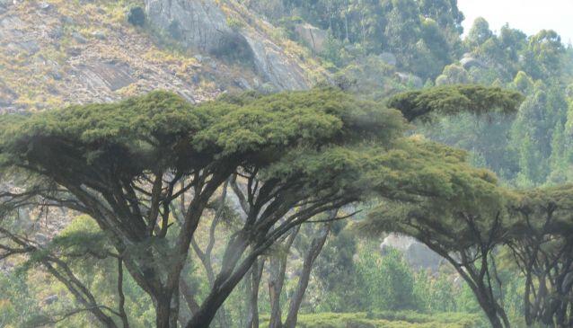 Escape to Eastern Highlands