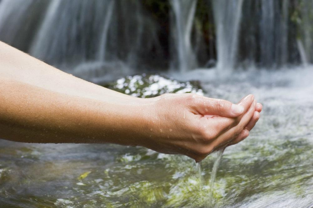 The Search for the Fountain of Youth