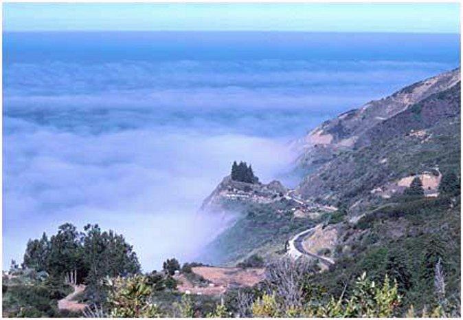 A Moment of Silence in Big Sur