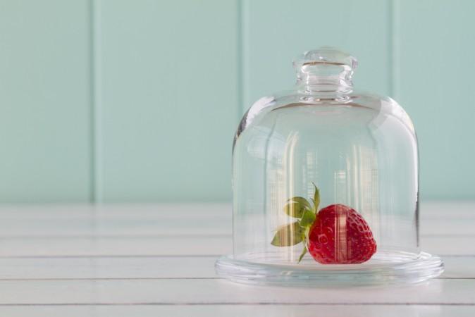 9 Natural Ways to Stop Gnats & Fruit Flies