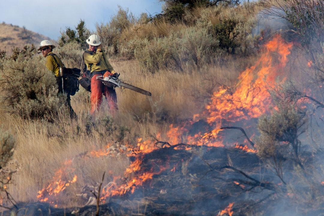 Explainer: Back Burning and Fuel Reduction, Wildfire Fighting Tactics