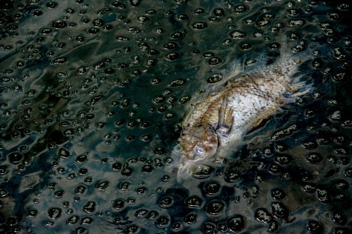 Under Water: The EPA’s Struggle to Combat Pollution