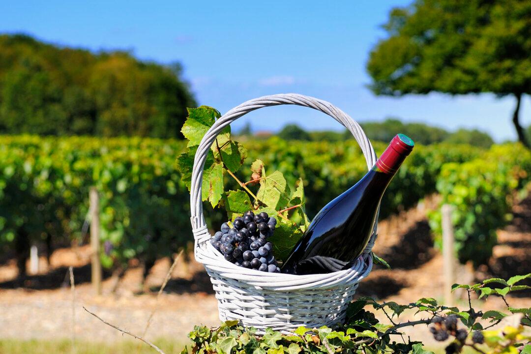 Burgundy’s Gifts to the World