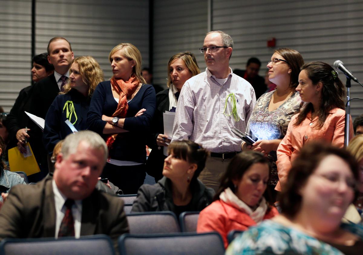 In NY Race, Niche Issues Become Political Parties