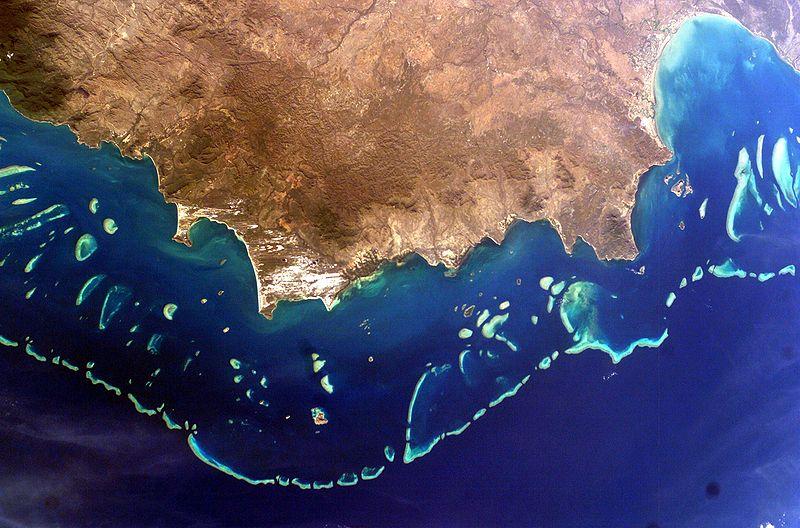 Great Barrier Reef May Face a Deadly Summer
