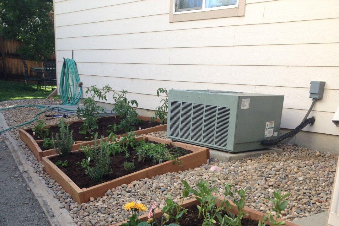 DIY Gardens for Cooking and Entertaining