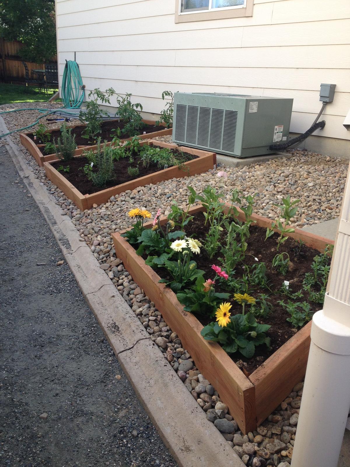 DIY Gardens for Cooking and Entertaining