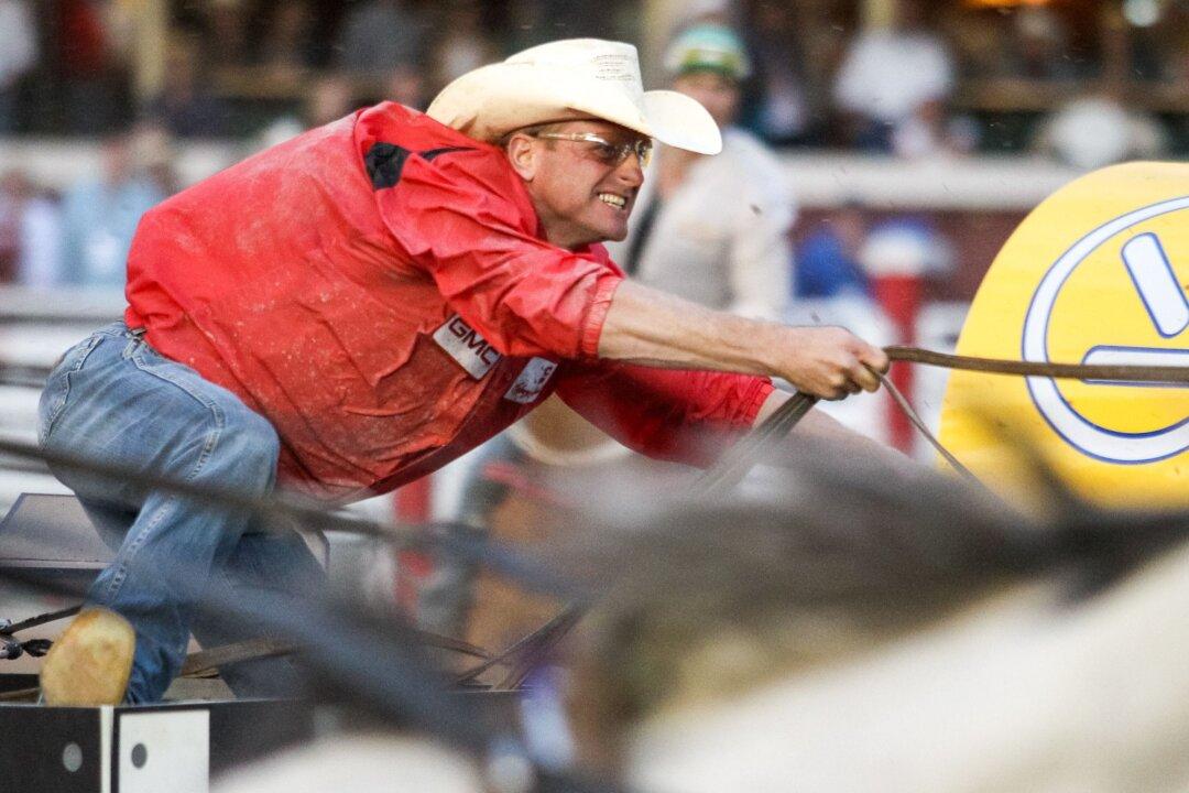 Chuckwagon Driver Hyped for Calgary Stampede ‘Stanley Cup’