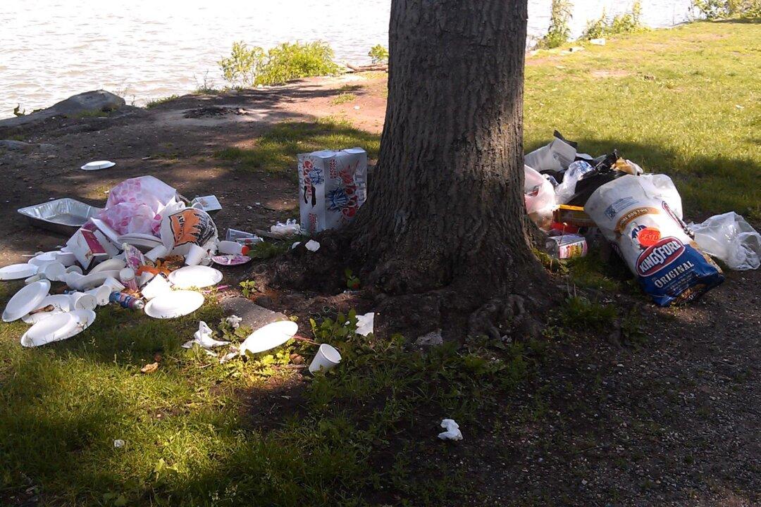 NYC Steps Up Efforts to Deal Riverside Park Problems