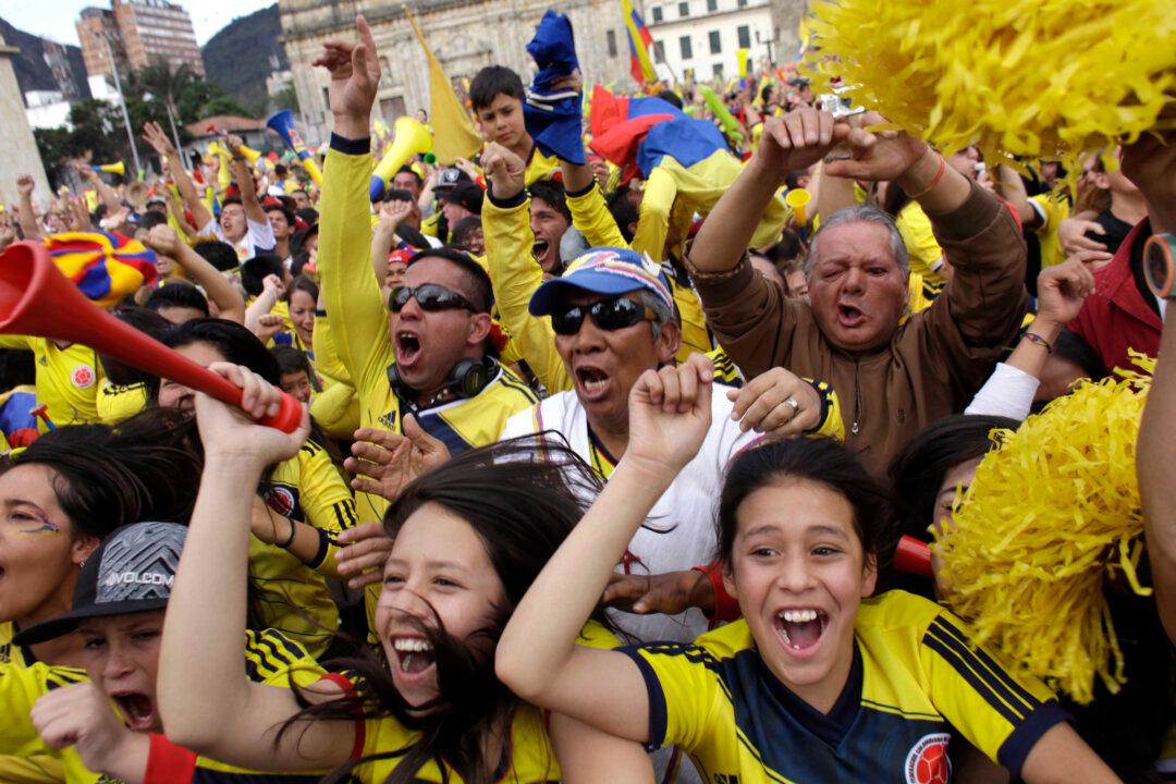 Fanatical About Football? Watch Out, You Could Be an Addict