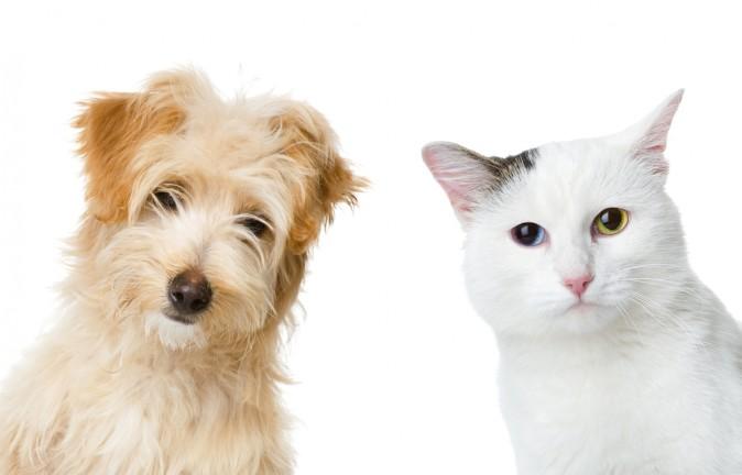 Top 5 Reasons Doctors Fail To Diagnose Hypothyroidism