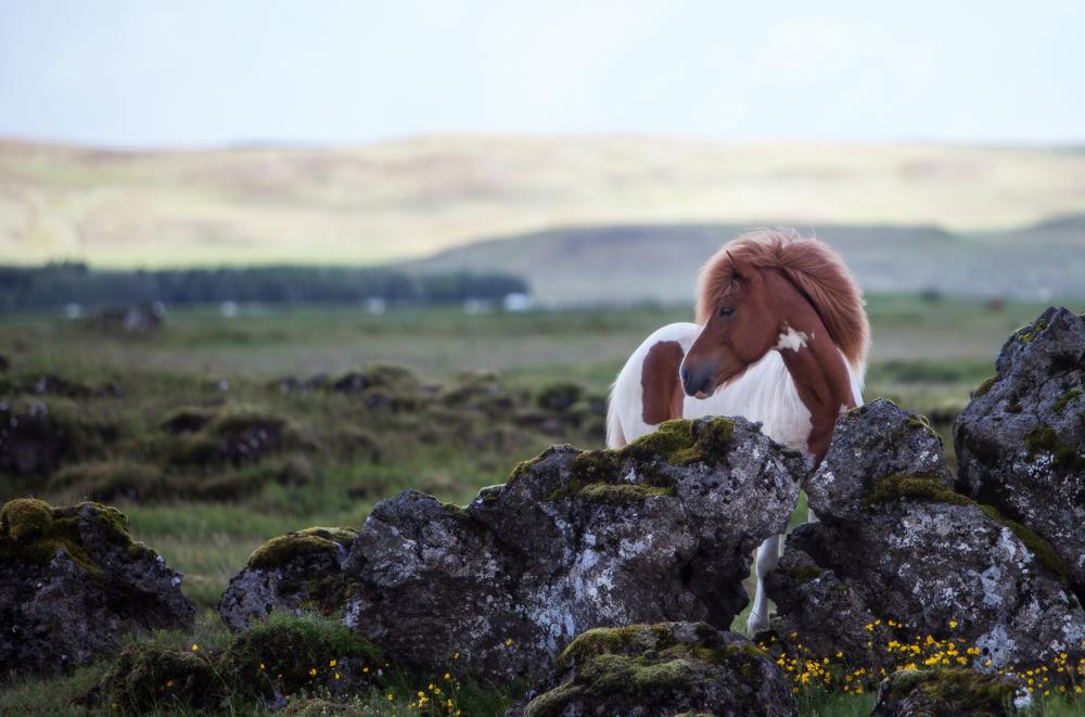 7 Headlines You Won’t Read Anywhere Else Today: August 1