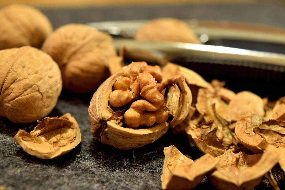 Can Walnuts Make Your Brain Younger?