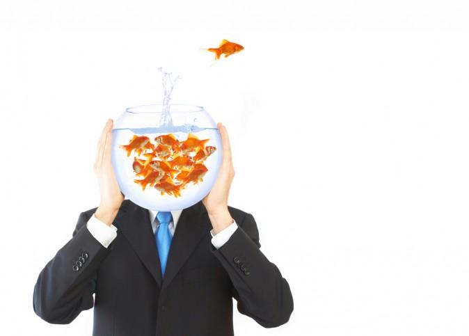 Does a ‘Fishy’ Lifestyle Keep Brains Healthy?