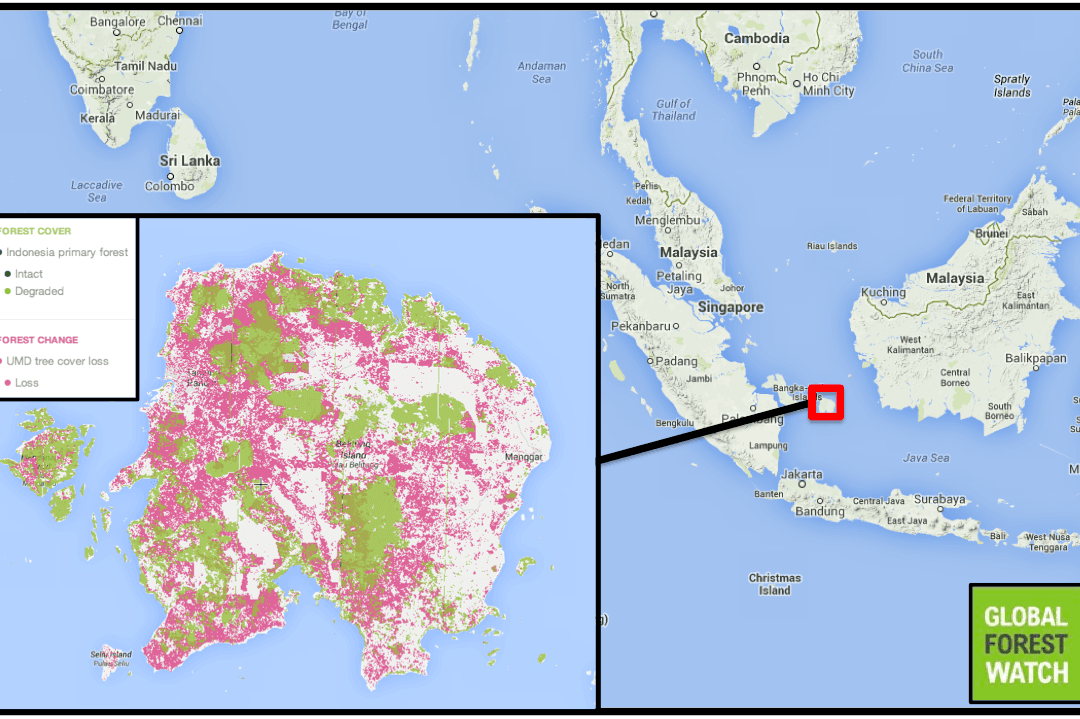 Deforestation and Mining Ruining Small Island