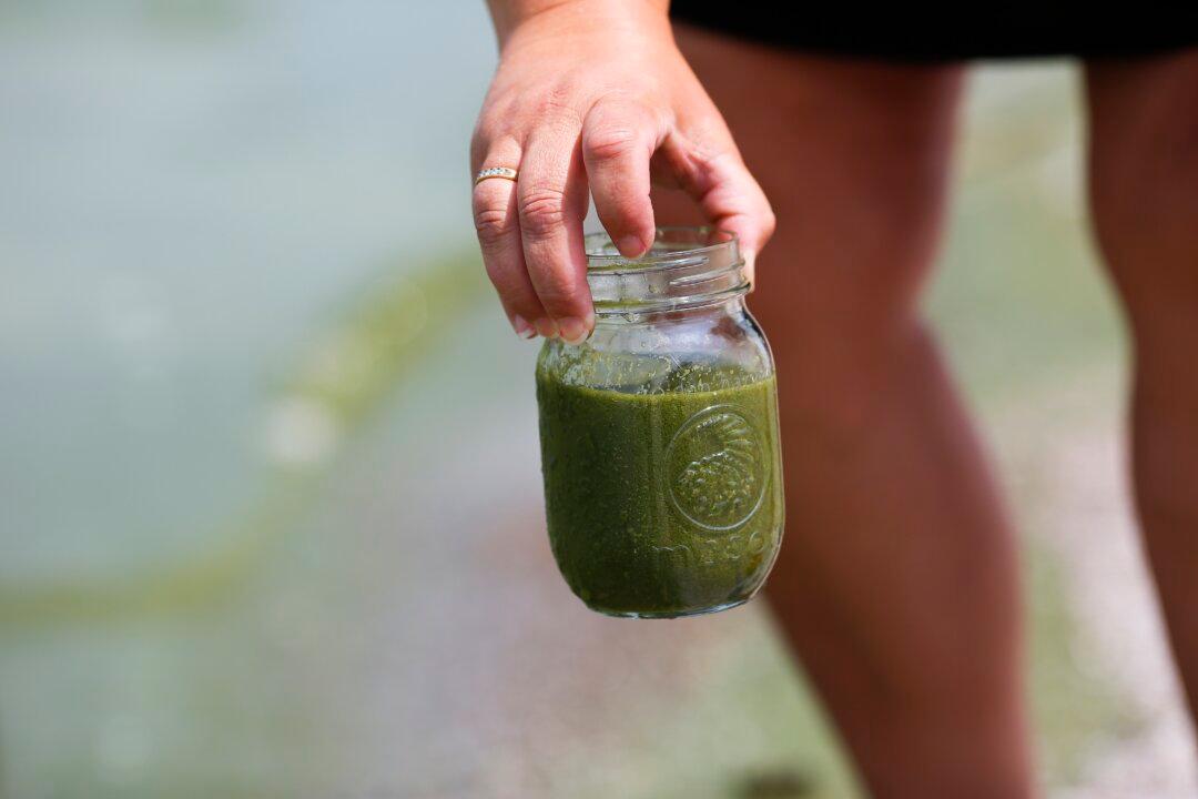 For Drinking Water, Lake Erie Algae Here to Stay
