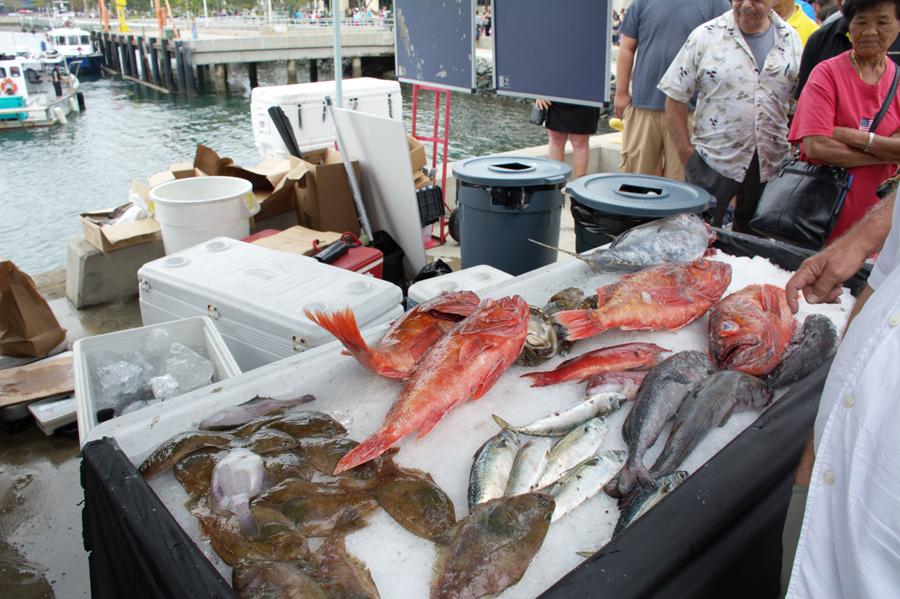San Diego Dockside Fish Market Attracts Hundreds on First Day