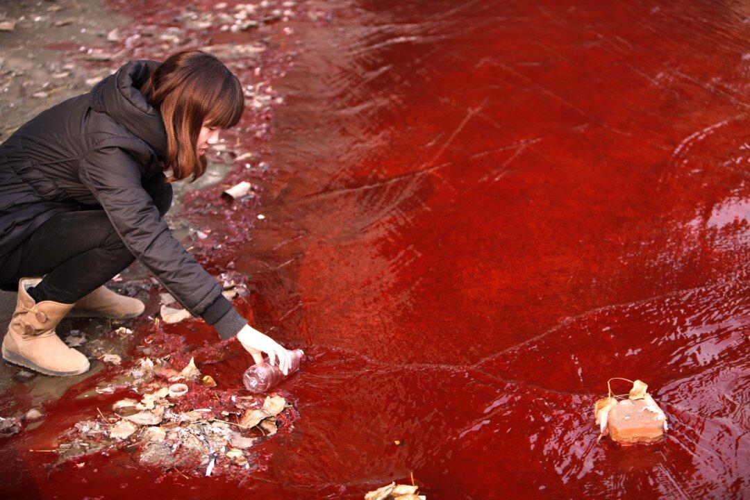 China’s Environmental Catastrophe