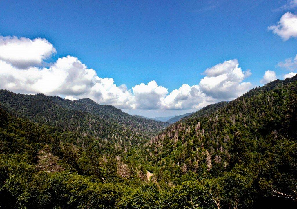 Top Things to Do in the Smoky Mountains