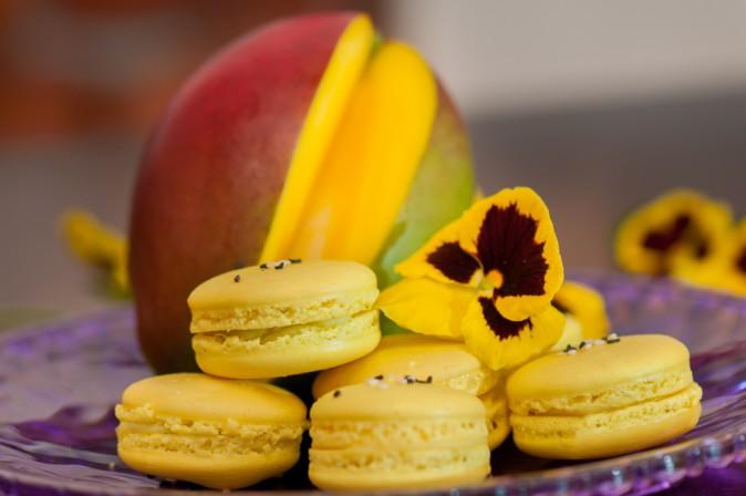 Mango Lime Paradise Bars