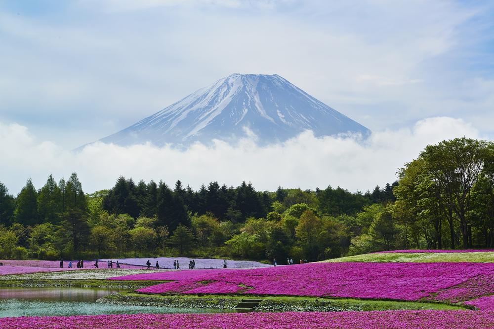 7 Headlines You Won’t Read Anywhere Else Today: August 14