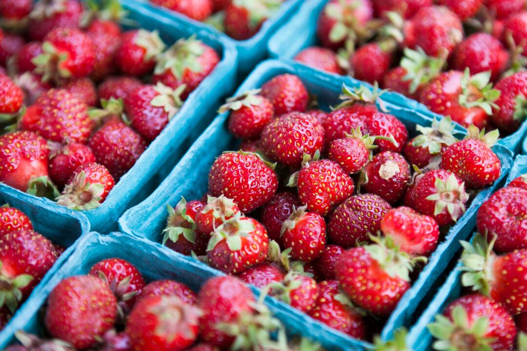 Sweet and Succulent Summer Fruits, the Glory of the Season