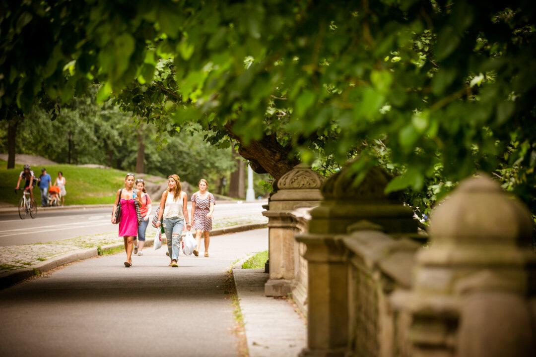 A Rare Complaint of Over-Maintenance in NYC Parks
