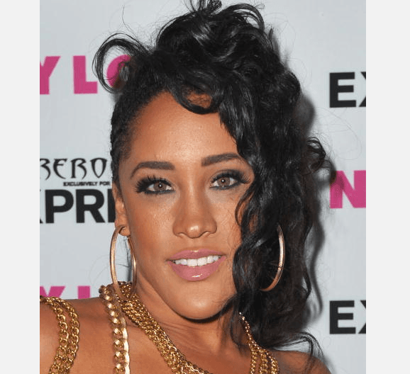 Bad Girls Club Season 13 Cast Rumored to Include Natalie Nunn, Judi, Camilla, Julie, Rocky