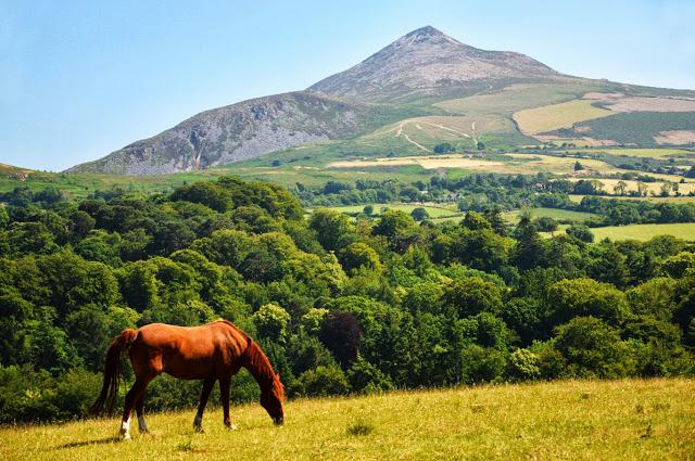Powerscourt Gardens, Enniskerry, Ireland