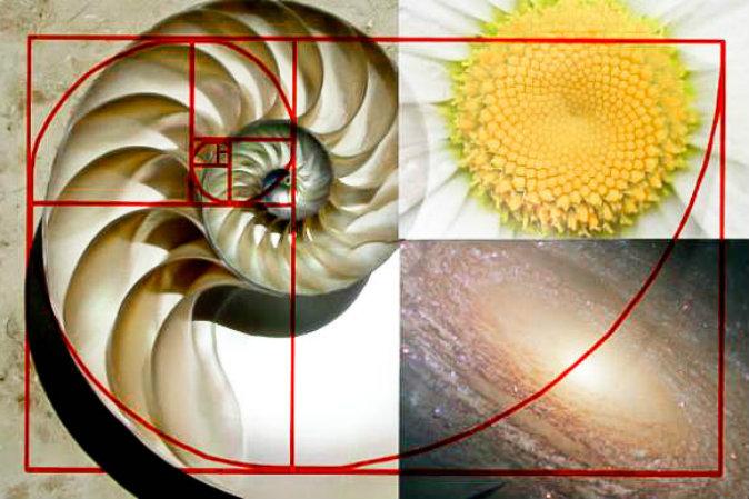 The Golden Ratio—A Sacred Number That Links the Past to the Present
