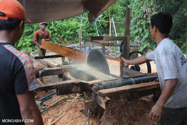 DNA Fingerprinting for Forest Conservation