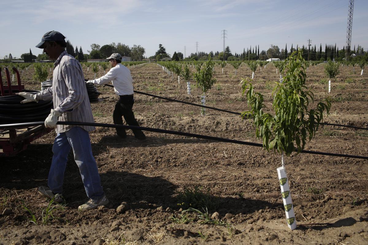 Canadian Researchers Urge Tackling Global Water Stress