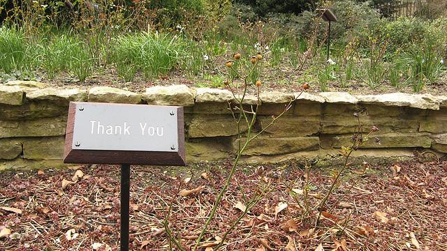 More Than Words: Saying ‘Thank You’ Does Make a Difference