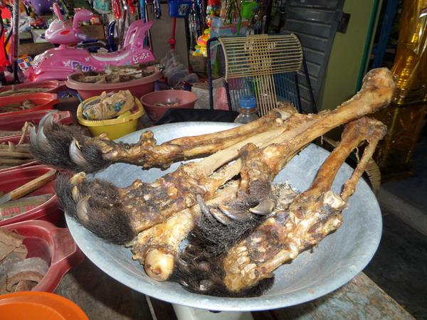 Illegal Wildlife Trade Stopped by Social Media