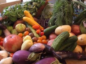 The “Real” Dirty Dozen: When it Pays to Buy Organic