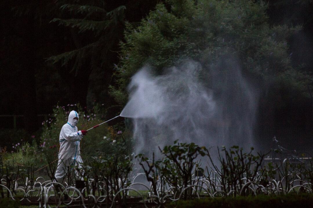 Southern China Struggles to Control Dengue Fever, Record Number of Cases Reported