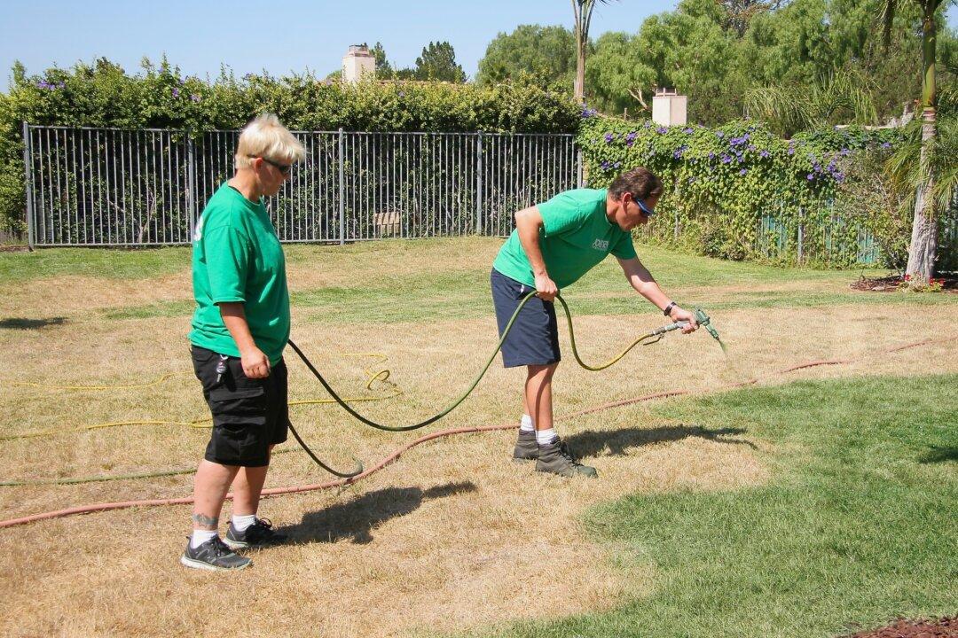 California Residents Seek Drought-Friendly Lawns